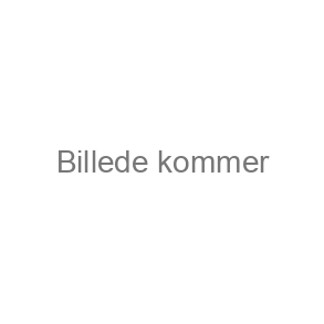 Cichlider